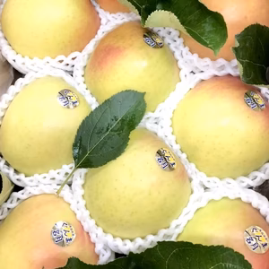 ぐんま名月【甘くて人気急上昇！】最高級3キロ