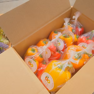 【クール】佐賀県産パプリカ Lサイズ3玉・ミニ4袋のセット