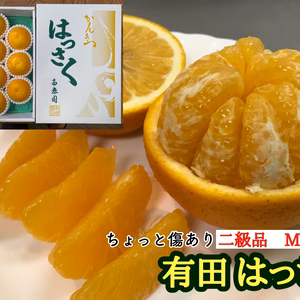 ≪農家直送≫傷あり手詰有田はっさくM×10玉【南泰園】
