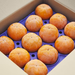 【ご家庭用】岐阜県産 富有柿 2Lサイズ（300g前後/1玉）12玉入