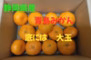 静岡県産　蔵出し青島みかん　家庭用　大小バラバラ　約3.8㎏