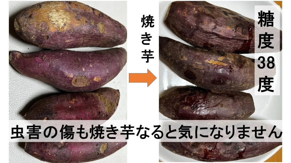 有機さつま芋（熟成した甘さ・紅はるか）訳あり品 3kg・4.5㎏
