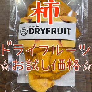 ★カンブリア宮殿放映記念価格★ドライフルーツ 柿 60g　＊送料無料＊