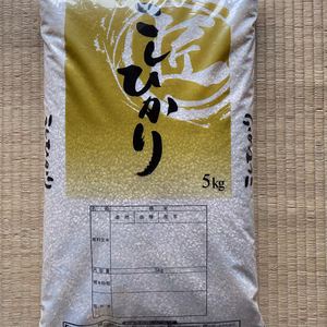令和6年産コシヒカリ精米、除草剤・肥料不使用のこだわりのお米