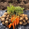 秋の根菜セット(男爵・メークイン・人参）