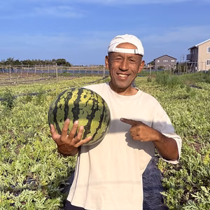 能登の砂丘地育ちのシャリ感と甘さあふれるスイカ！