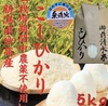 [新米]新潟県産 高級米 御前清水米 無農薬米 5キロ〜 (無洗米) 令和5年産
