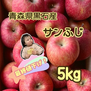 【最終お値下げ！】甘味抜群！青森県産ふじリンゴ(家庭用5キロ)