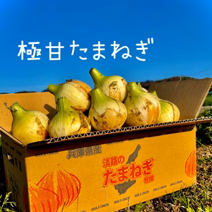 極甘『すごくあま〜い』あま〜くて水々しい淡路島産新玉ねぎ　