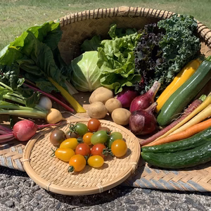 とれたて新鮮！おまかせ野菜セット