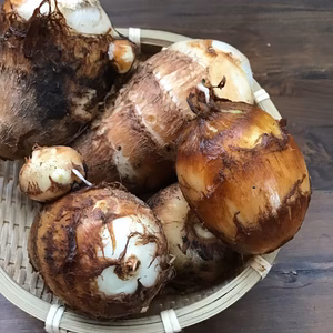 ［お試し］自然栽培の里芋【農薬不使用】土付き 1kg