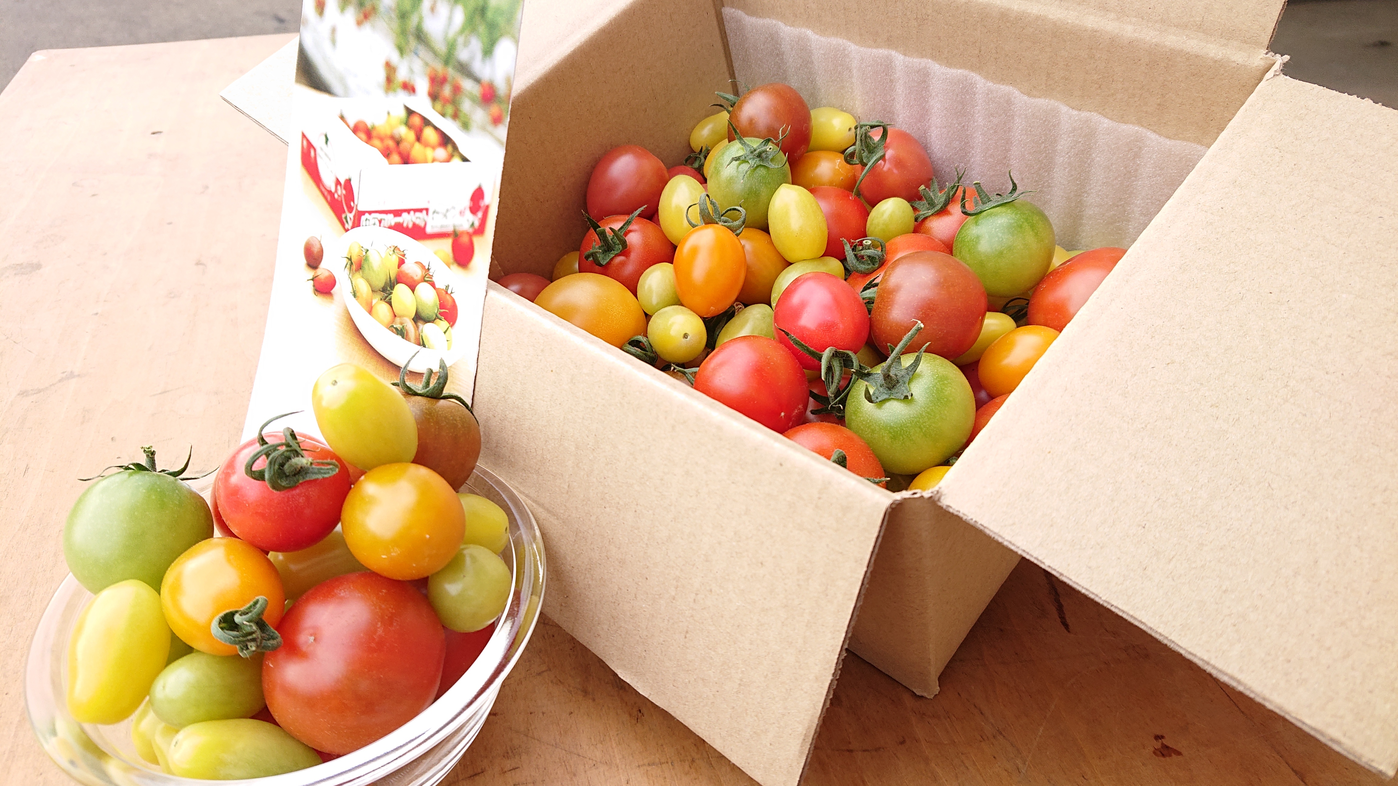 [M1]映える!最大12種類カラフルフルーツトマト お試し1kg 1箱1kgバラ詰め