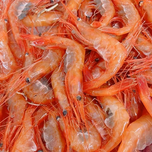 【-60冷凍】深海400mで獲れたあま〜い甘エビ