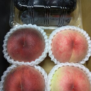 園主イチオシ《もも×スモモ BOX》