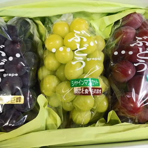 シャインマスカット入り【ぶどう３色セット】　山梨南アルプス市より
