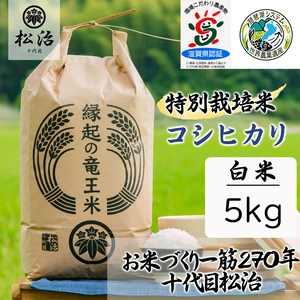 【ポケマルの夏ギフト】270年続くお米農家が作ったコシヒカリ 5kg 白米 精米