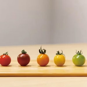 【カラフルとバイオ】カラフルミニ1.3kgとトスカーナバイオレット1.3kg