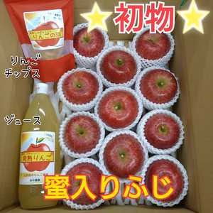初物★蜜入りふじりんご＆りんごの恵み(5kg箱)