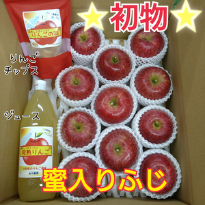初物★蜜入りふじりんご＆りんごの恵み(5kg箱)