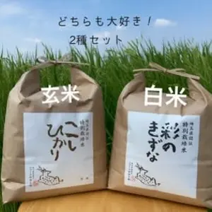 【玄米白米セット】特別栽培米彩のきずな（白米）特別栽培米コシヒカリ（玄米）