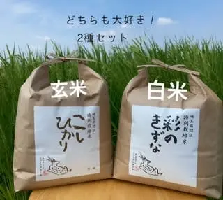 【玄米白米セット】特別栽培米彩のきずな（白米）特別栽培米コシヒカリ（玄米）