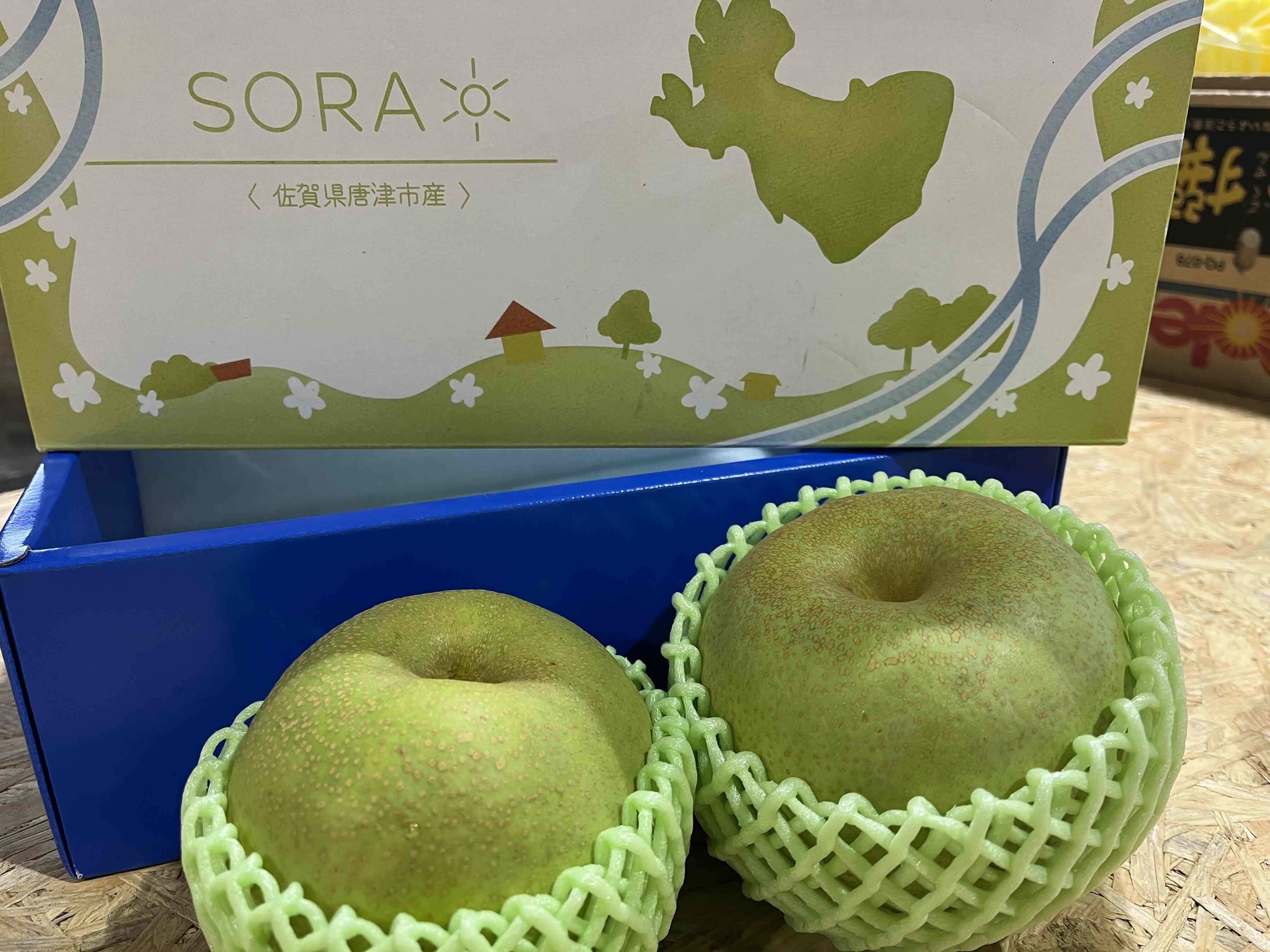 果物の産直通販・お取り寄せ商品｜ポケットマルシェ｜産地直送で旬の