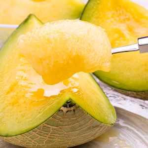 【令和5年品質優良賞受賞】茨城県産 アンデスメロン２玉