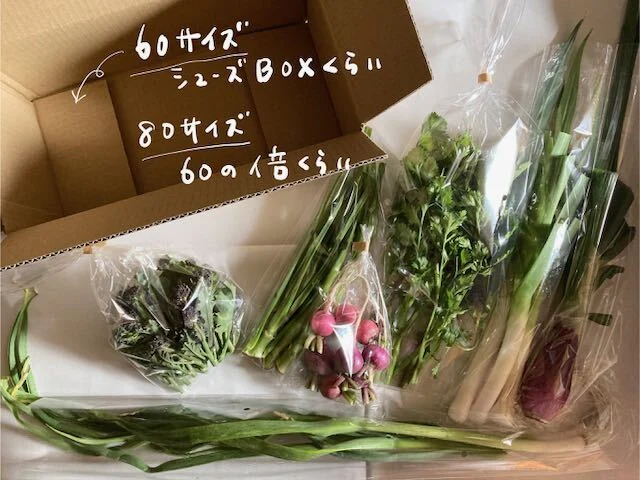 贅沢生野菜「おつまみベジ」厳選7種〜