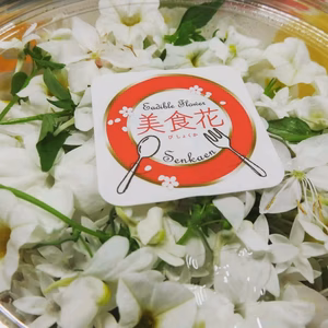 エディブルフラワー「美食花」白系