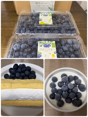 みんなの投稿の画像