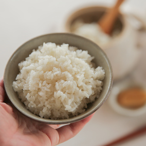 【農薬化学肥料不使用】秋の詩・白米・分づき米（2020年産）