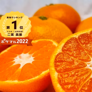 濃い濃いみかん　選べるサイズ　発送早い
