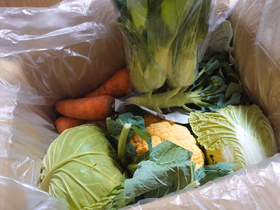 みんなの投稿の画像