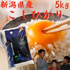 コシヒカリデラックス5kg    (白米)     令和3年産