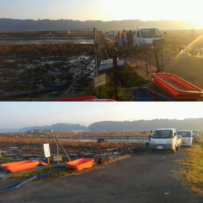 みんなの投稿の画像