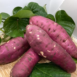 【銀座やきいも店の生芋をお届け！】ホクホク焼き芋にピッタリ！紅あづま　5㎏セット