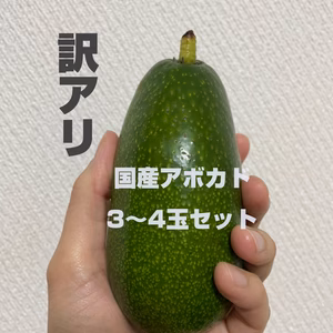 【訳あり】国産アボカド(3～4玉)