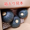 三浦カボチャ(3個入り)