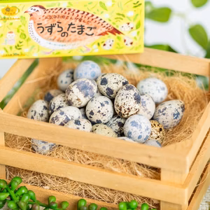 【1年に1度の縁起物！】うずらの大寒卵　