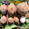 【絶品】aimo農園｜種子島産  安納芋 極プチサイズ