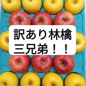 訳ありりんご３兄弟　５キロ
