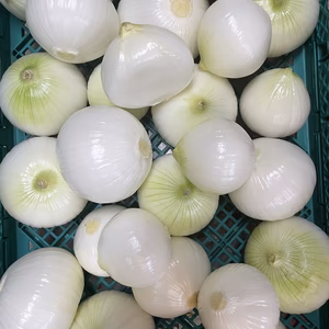 七夕までの特価品❣️新玉ねぎ白剥き 今が旬❗️白剥き新玉ねぎ❣️生ゴミ無し！