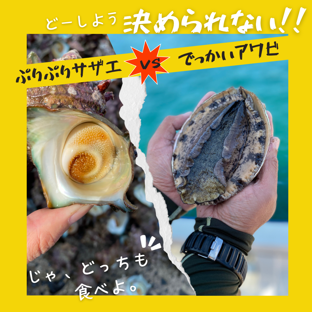 贅沢】隠岐諸島産 漁師直送 大きめサザエ・アワビセット｜魚介類の商品