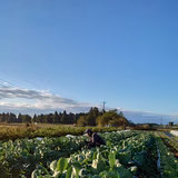 佐藤弘一 | つきひ農園