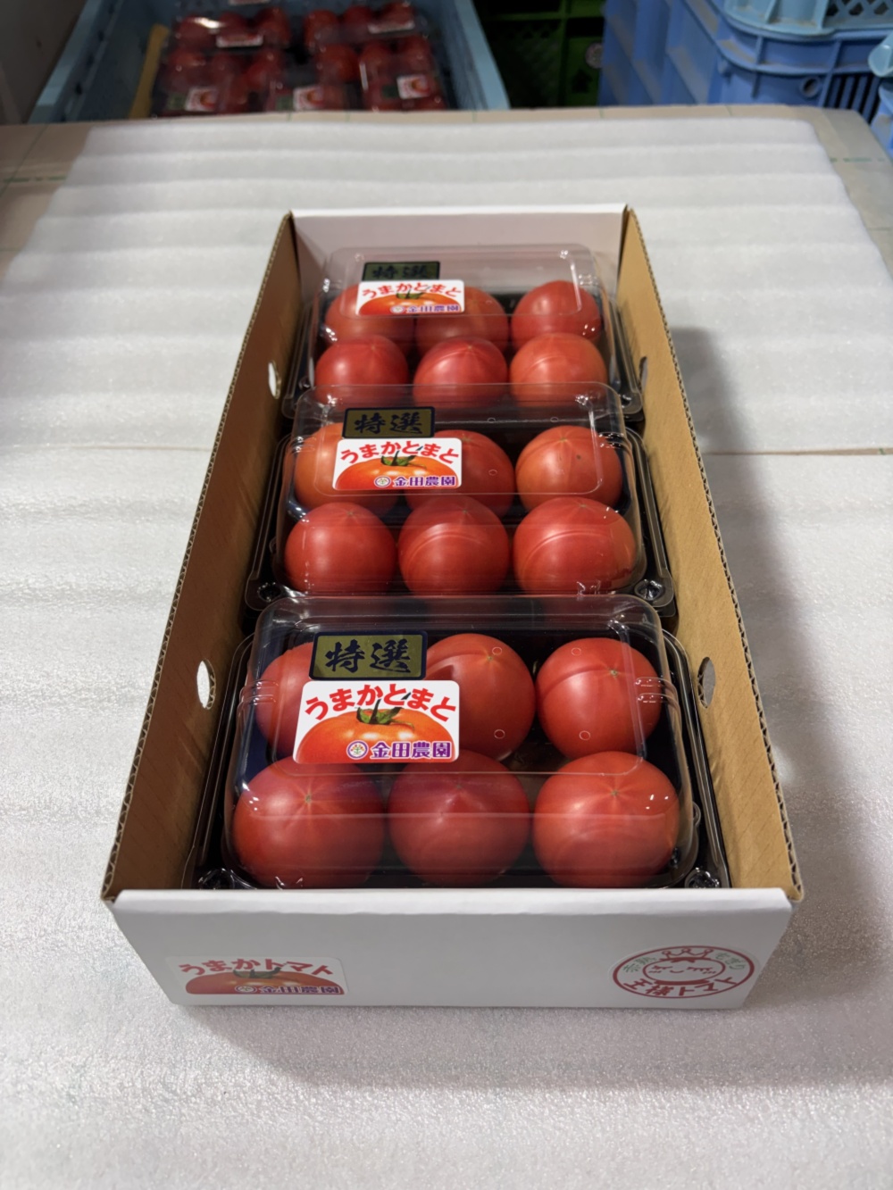 アミノ酸・酵素の力で味の濃さ抜群❗️熊本県産うまかとまと❗️（3