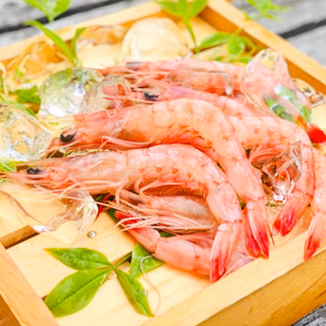 【深海のシンデレラ】ベニガラエビ〜魚ガチャ！から正規品へ〜