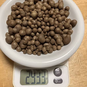 天然自然薯のむかご