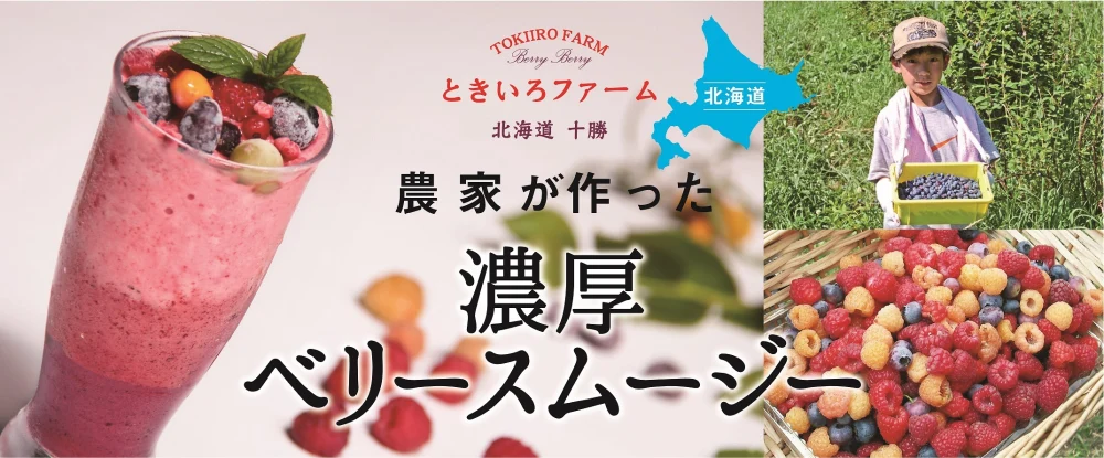 ご自宅で北海道物産展の味『ラズベリースムージー作り』セット｜果物の