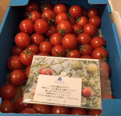 みんなの投稿の画像