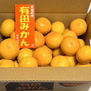 【少し訳あり】2022年和歌山県産 完熟極早生有田みかん(約5kg)